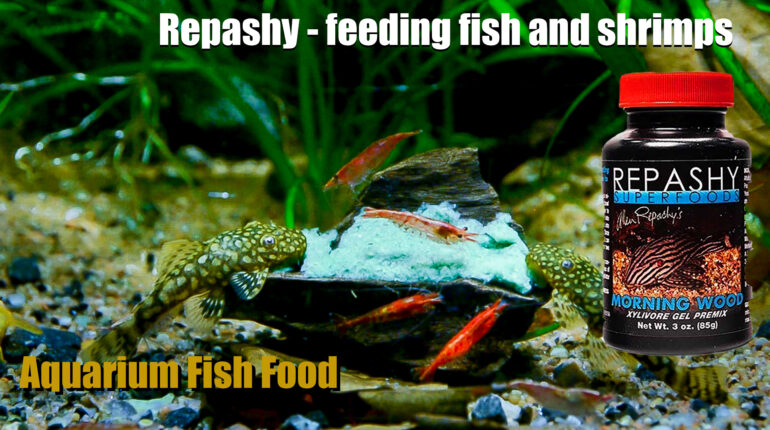 Repashy Morning Wood Fish Food