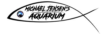 Michael Jensen's Aquarium